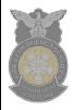 7t - DD FES Chief two tone Metal Badge